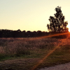 2018-06-29 21.33.51_klein